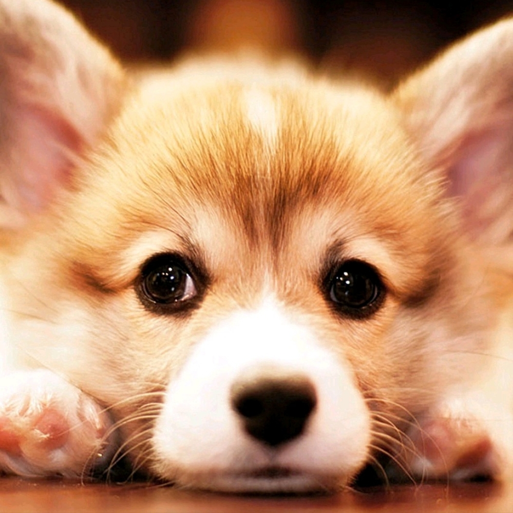 ACCEPTING ALL OFFERS NEED TO SELL EVERYTHING.